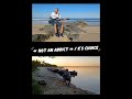 « Not an addict / K’s choice » - Bass cover : Vous êtes plutôt version lac ou version plage?