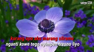 Download lagu Tresno nyang wong liyo story wa Tresno nyang wong liyo story wa