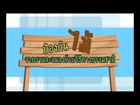 ชาววิทย์ชิดชาวบ้าน ตอน ป้องกันไม้จากราและแมลงด้วยวิธีทางธรรมชาติ