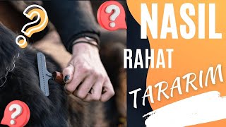 Köpeğim Tararken Rahat Durmuyor? Köpeğim Tarağı Isırıyor? Nasıl Rahat Tarayabilirim. Detaylı Anlatım