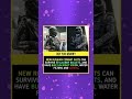 Did you know? - Loop Facts