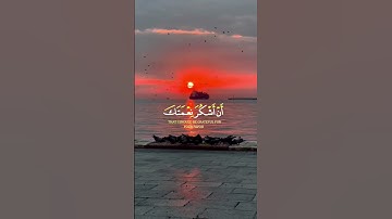 فتبسم ضاحكا من قولها🥀سورة النمل🍃surah al naml🍃