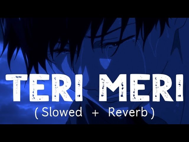 Teri Meri [Slowed And Reverb] | Rahat Fateh Ali Khan | Shreya Ghoshal | Bodyguard | Total Lofi Song class=