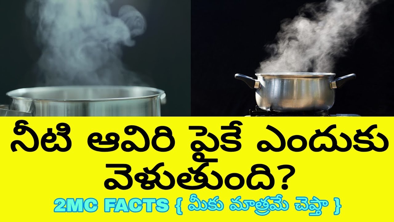 why-does-vapour-goes-up-in-telugu-2mc-facts