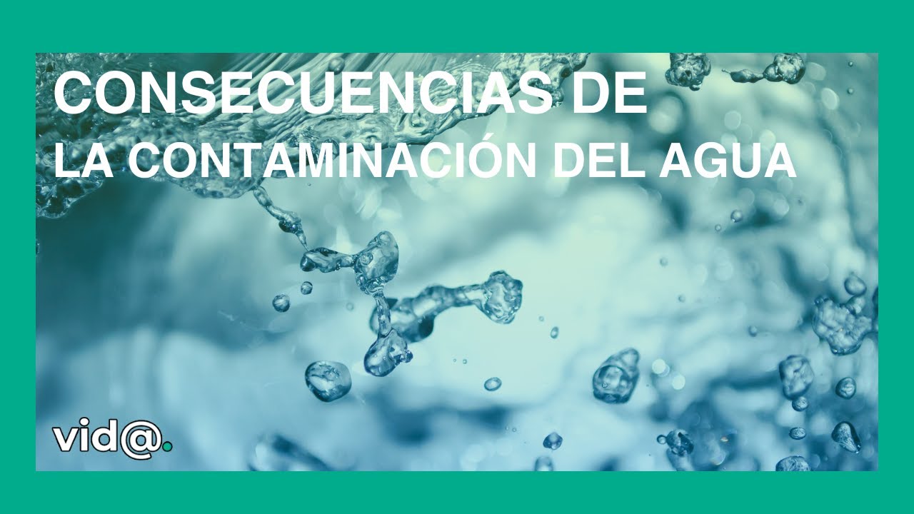 Descubre los Impactantes Efectos de la Contaminación del Agua en tu ...