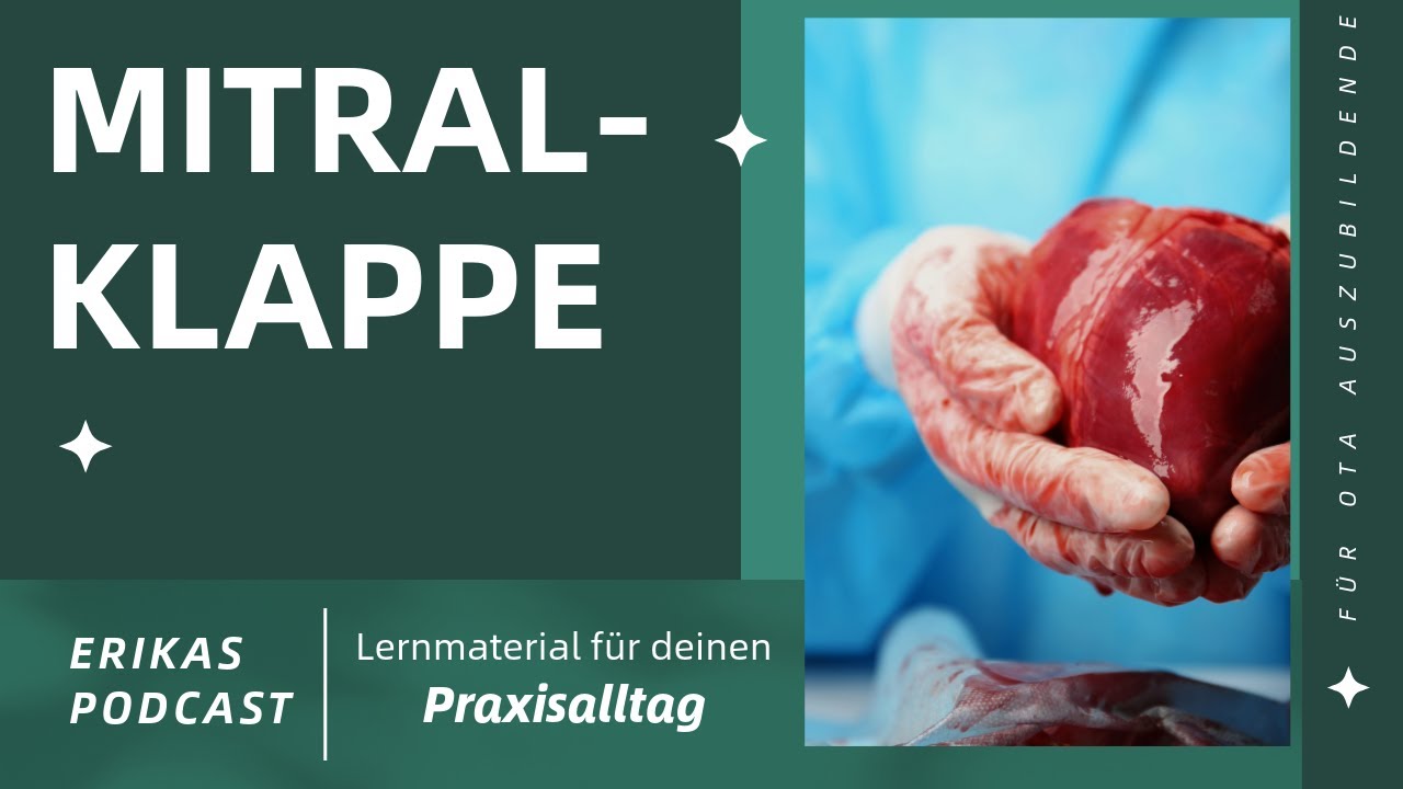 Die Mitralklappe – einfach erklärt für OTA-Schüler:innen | Herzchirurgie verstehen