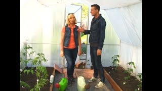 Марина Рыкалина и Виталий Декабрев - YouTube Теплица, Декабрь, Овощной огород