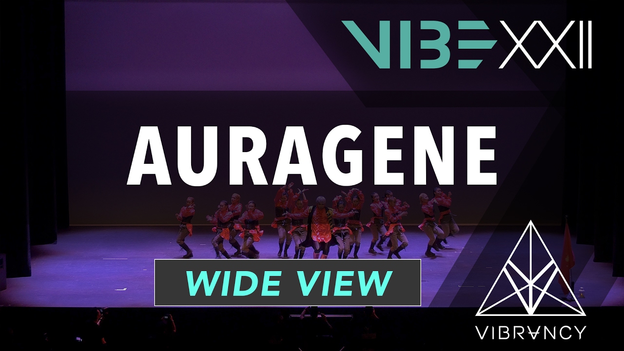 Auragene | VIBE XXII 2017 [@VIBRVNCY 4K] #vibedancecomp hip hop definicion