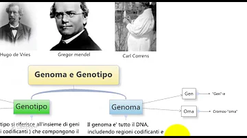 Che cosa si intende per genotipo?