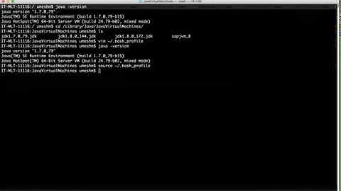 How to manage multiple Java versions - MAC/linux