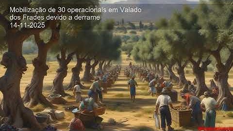 Mobilização de 30 operacionais em Valado dos Frades devido a derrame