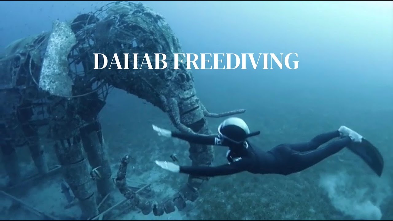 freedive dahab - 다합 프리다이빙 (D-Ocean)