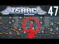 Guppy's Revenge (The Binding Isaac: