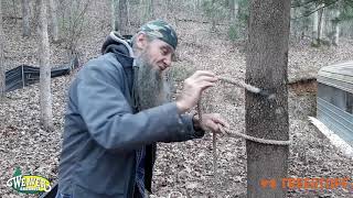 How to Tie a Timber Hitch the Right Way with Rene Sauzedde - TreeStuff Community Expert Video