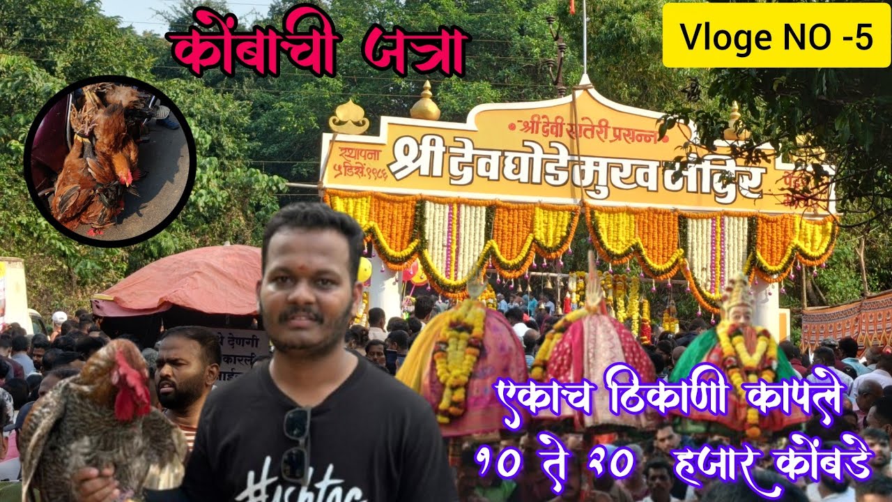 सिंधुदुर्ग जिल्ह्यातील प्रसिद्ध कोंब्याची जत्रा// 10-20 हजार कोंबडे कापतात//vlog NO -5#घोडेमुख#vlog 