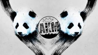 Panda Eyes - KIKO