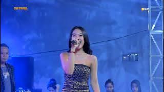 BUKIT BERBUNGA - NILAM DERMAGA - NEW PANDAWA - LEGATO AUDIO TERBARU 2025 LIVE SEPANDE SIDOARJO 