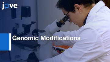 CRISPR-CAS9 induced Genomic Modifications in hPSCs | Protocol Preview