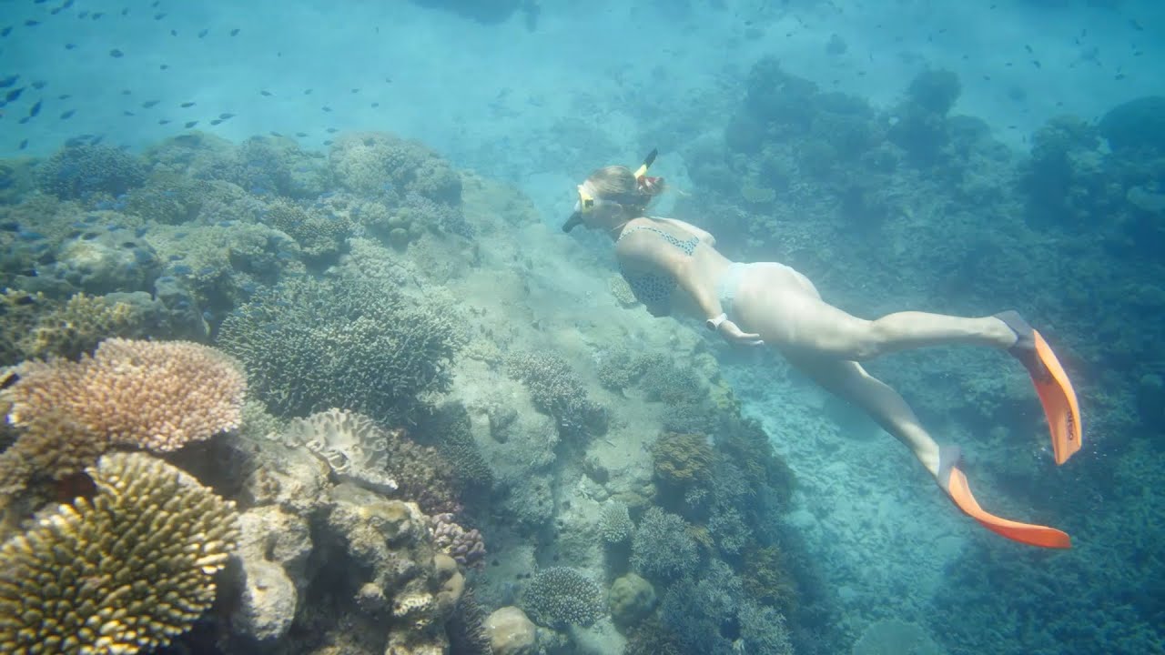 Crankworx Cairns MUST DO Snorkel the Great Barrier Reef YouTube