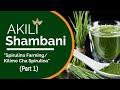 KILIMO CHA SPIRULINA PART 1 AKILI SHAMBANI