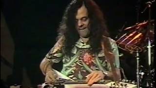 David Lindley, 'Musician's Musician' to the Rock Elite, Dies at 78 - The  New York Times