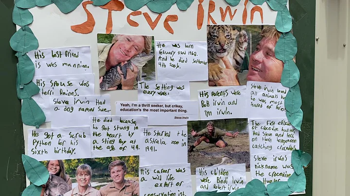 Who Was Steve Irwin? by Lillian