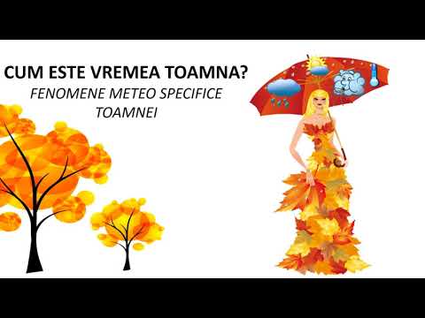 Video: Care Este Vremea în Tolyatti Toamna