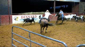 Valley View Ranch - Sallys Dual Pep - sort  9-21-11