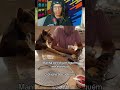 QUAM JA PASSOU POR ISSO COM O DOG?!KKK #tiktok #clips #viral #engraçado #edit #twitch #react