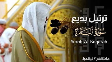 " وأَتِمُّوا الحَجَّ والعُمرَةَ لِلَّه " ترتيل بديع من سورة البقرة للشيخ د. محمد برهجي ~ 2-12-1446هـ