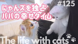 にゃんズを独占、パパの幸せタイム✨(Time for Dad and the Cats.)