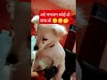 #comedy #funny #viralvideo #cute