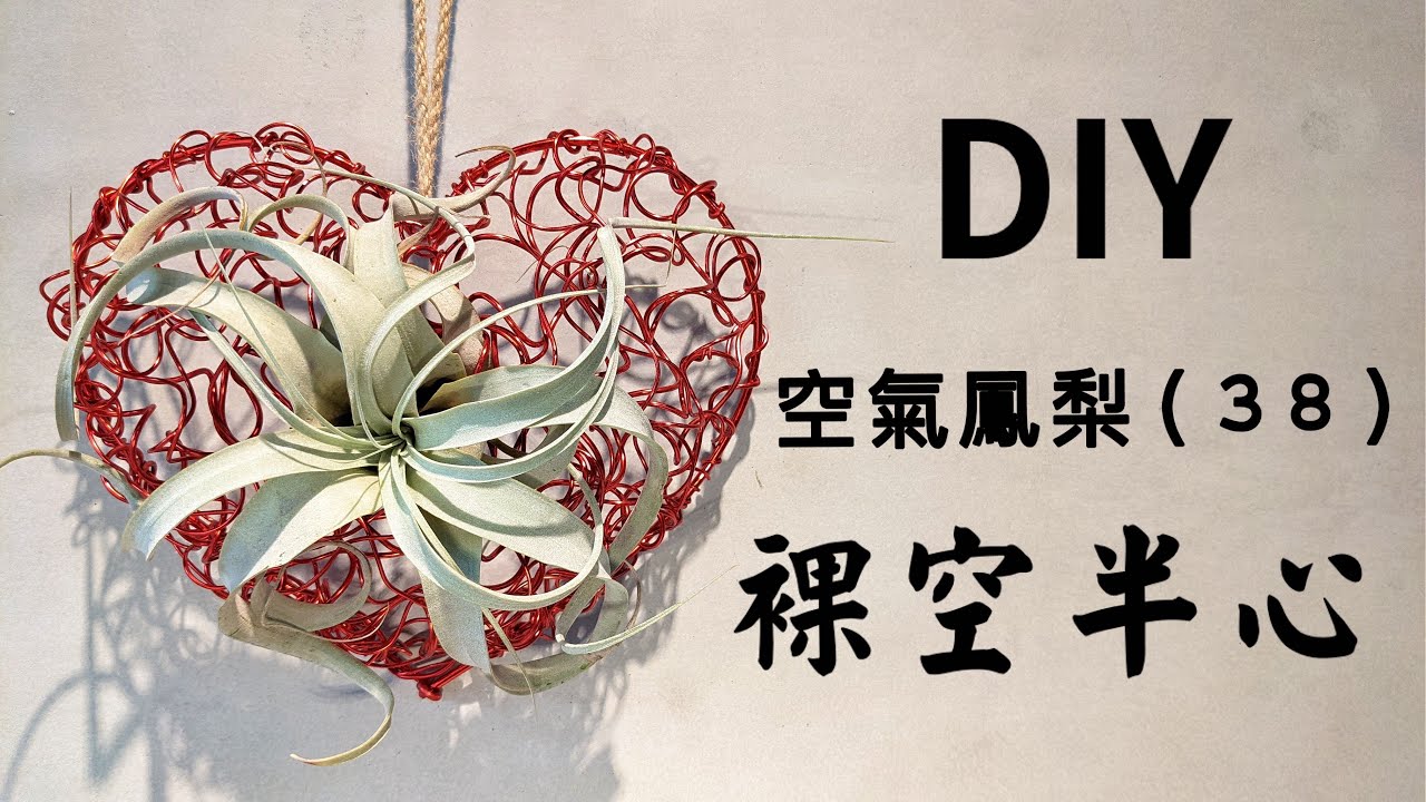 DIY wire 教你如何使用彩色鋁線製作空氣鳳梨  立體半心 裸空半心 How to make Aluminum wire Air plant