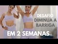 DESAFIO PARA DIMINUIR A BARRIGA EM CASA - TREINO