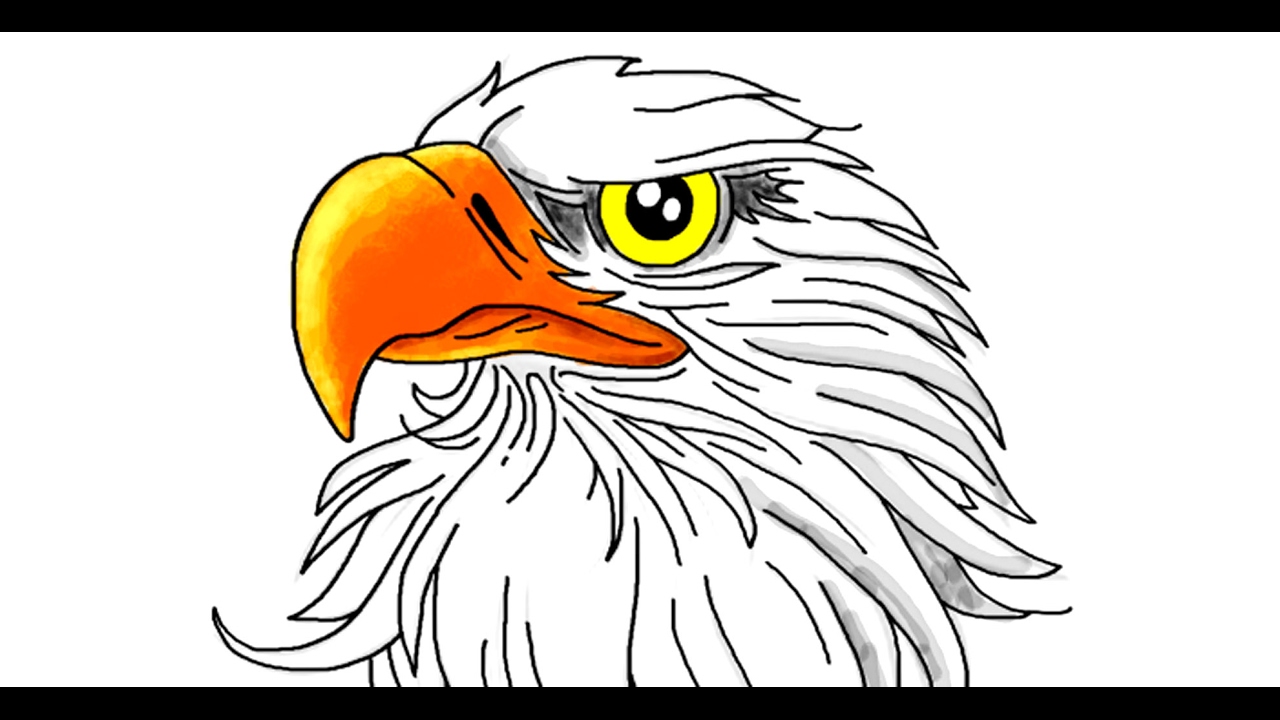 How to draw an easy eagle by steps - YouTube