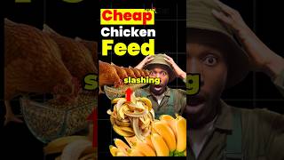 Banana Peel Chicken FEED FORMULATION (Full Organic Recipe)