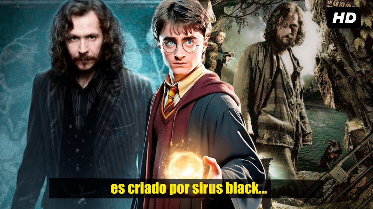 QHPS Harry Era Criado Por Sirius Black?