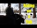 Riding on a Yak