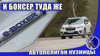 Что МОЖЕТ гибридный ФОРЕСТЕР? Расход топлива SUBARU FORESTER E-BOXER и его зависимость от погоды.