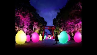 チームラボ、「下鴨神社 糺の森の光の祭 Art by teamLab」に、TOKIO インカラミの協賛が決定！ 注目トレンド 7月18日