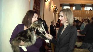 PetClub.md  на выставке кошек. «CAT SHOW MOLDOVA 2011″