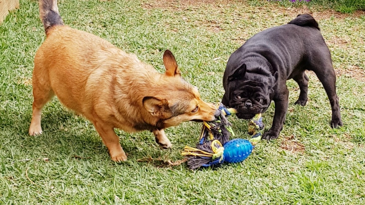 Our daily to-do @HOP - YouTube