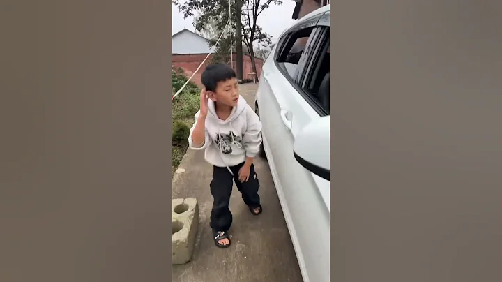 Video 11337041: cat hunting