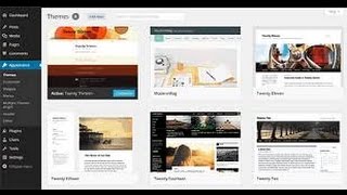 How to use Multiple Themes for Pages in WordPress Website Wealth