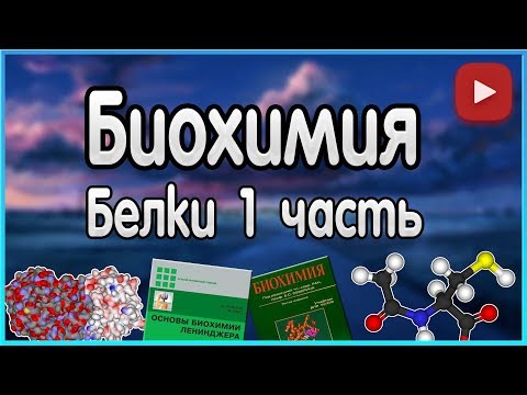 Биохимия. Лекция 2. Белки. Уровни организации белков. Функции белков.