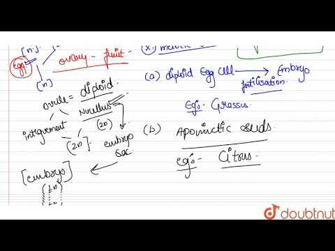 (a) Explain the different ways apomictic seeds can develop. Give an example of each