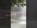 #enjoymentinwater #rainymood #monsoonarrival #romanticshowers