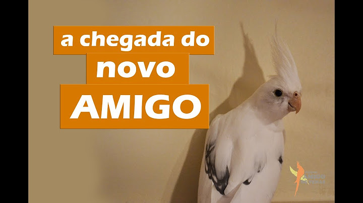 Os primeiros dias na casa nova!!
