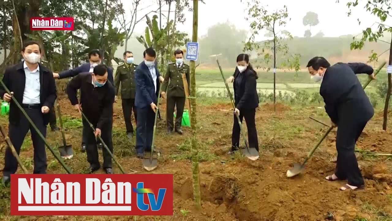 Thái Nguyên hưởng ứng Chương trình trồng mới 1 tỷ cây... - youtube