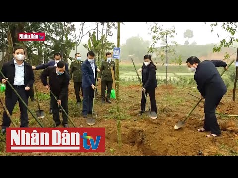 Video Thái Nguyên hưởng ứng Chương trình trồng mới 1 tỷ cây... - youtube